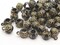 50 9mm Black Round Plastic Beads with Gold Flower Pattern Large Hole Beads with Loop